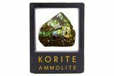 Iridescent Ammolite (Fossil Ammonite Shell) - Greens & Blues #316773-1